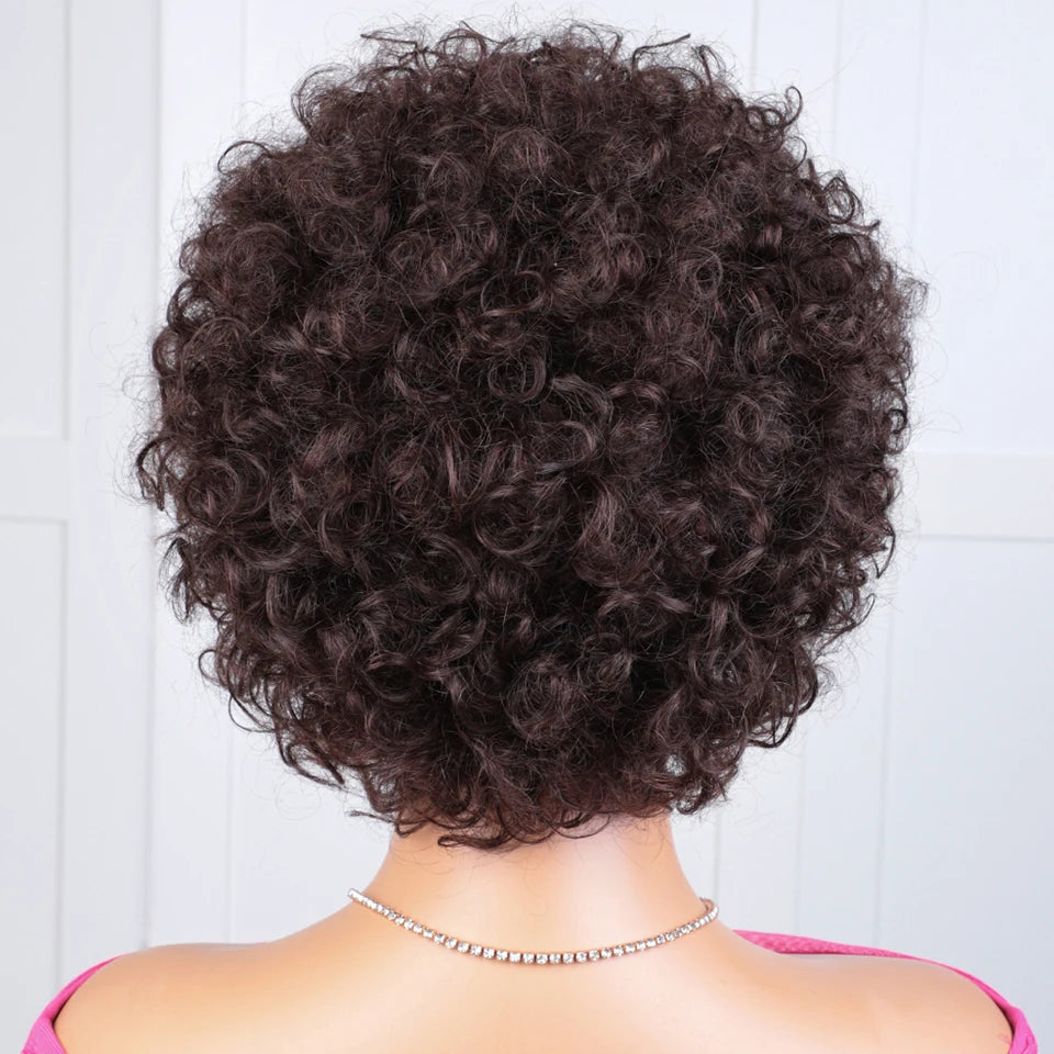 Sleek Short Pixie Afro Kinky Curly Wigs for Black Women Glueless Natural Brown Bob Wig With Bangs Brazilian Human Hair Wigs